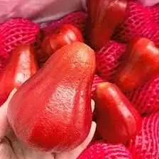 为什么同样的水果摊，你妈买的香甜可口，你买的像得罪了摊主