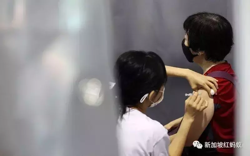 新加坡衛生部長：與未知新敵人奧密克戎博弈，像在下一盤蛇梯棋