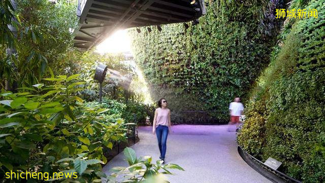 迪拜世博会新加坡展馆：自然之城，展示自然、培育、未来 