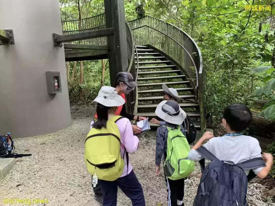 丛林探险、生存挑战！新加坡户外学校的6大假期营超级宝藏