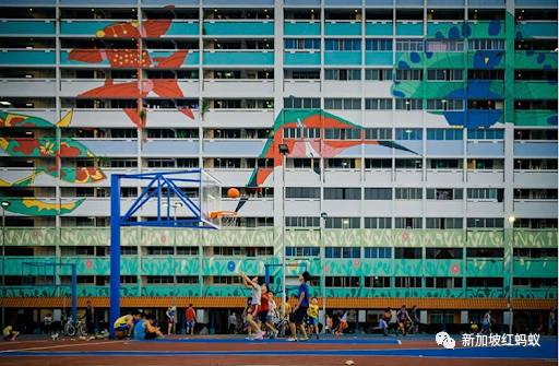 新加坡人镜头下“家的形状”是什么? 答案就在2500多张照片里