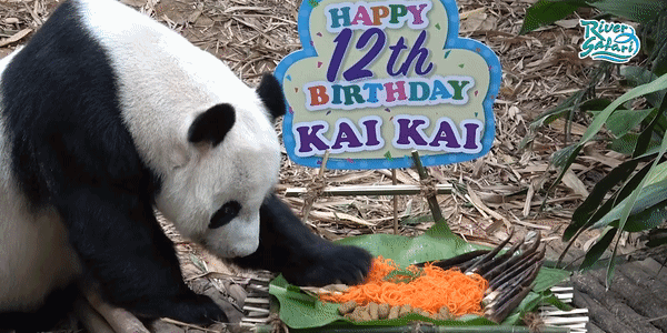 小坡島種草機!春遊野餐正當時,讓大自然治愈你