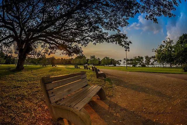 新加坡10个最美公园告诉你，花园城市有多美 