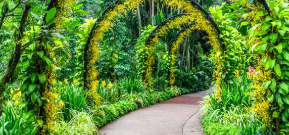 玩在獅城 周末一起去大自然裏野餐——新加坡最適合野餐的十大自然公園