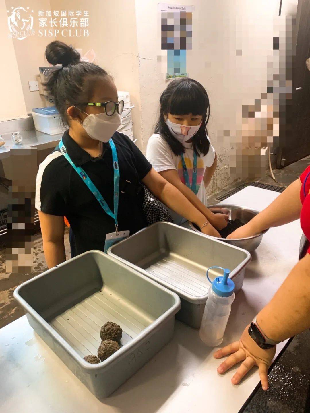 新加坡遛娃新去处!到河川生态园喂海牛,给孩子不一样的staycation