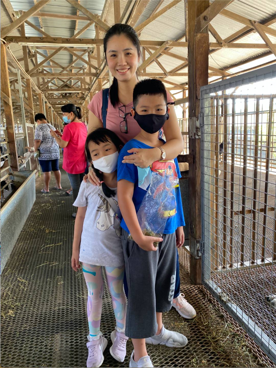 餵羊、擠奶、了解青蛙生長過程,新加坡的農場這麽牛