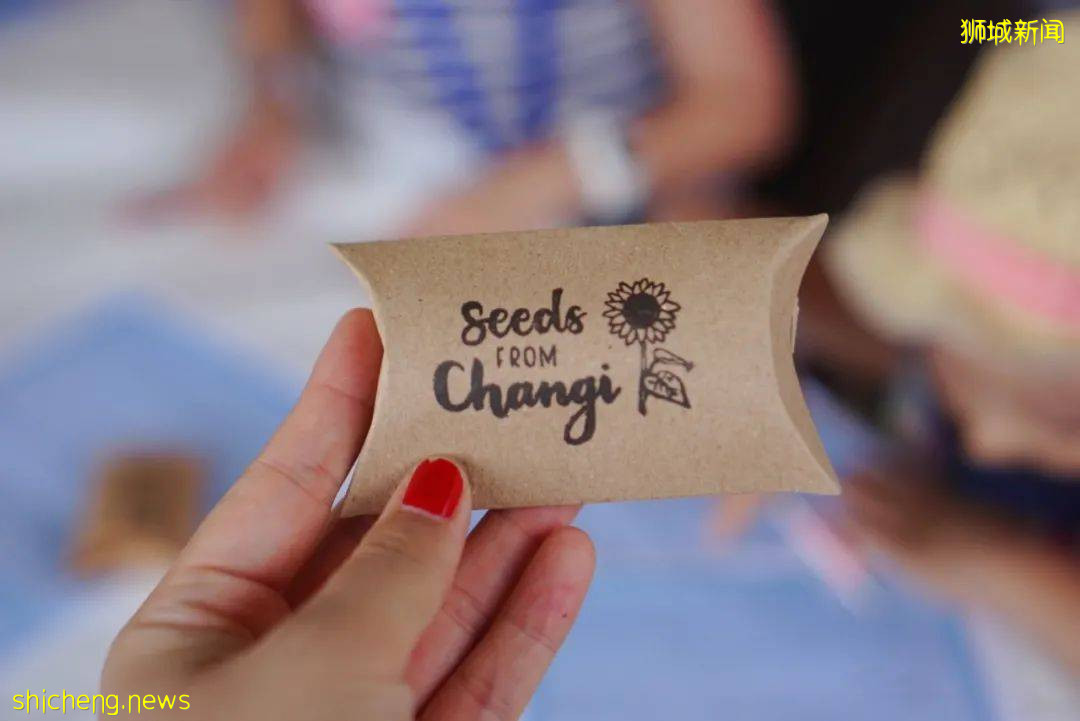 免費送票！$58就能露營機場，兩天一夜住帳篷，快搶