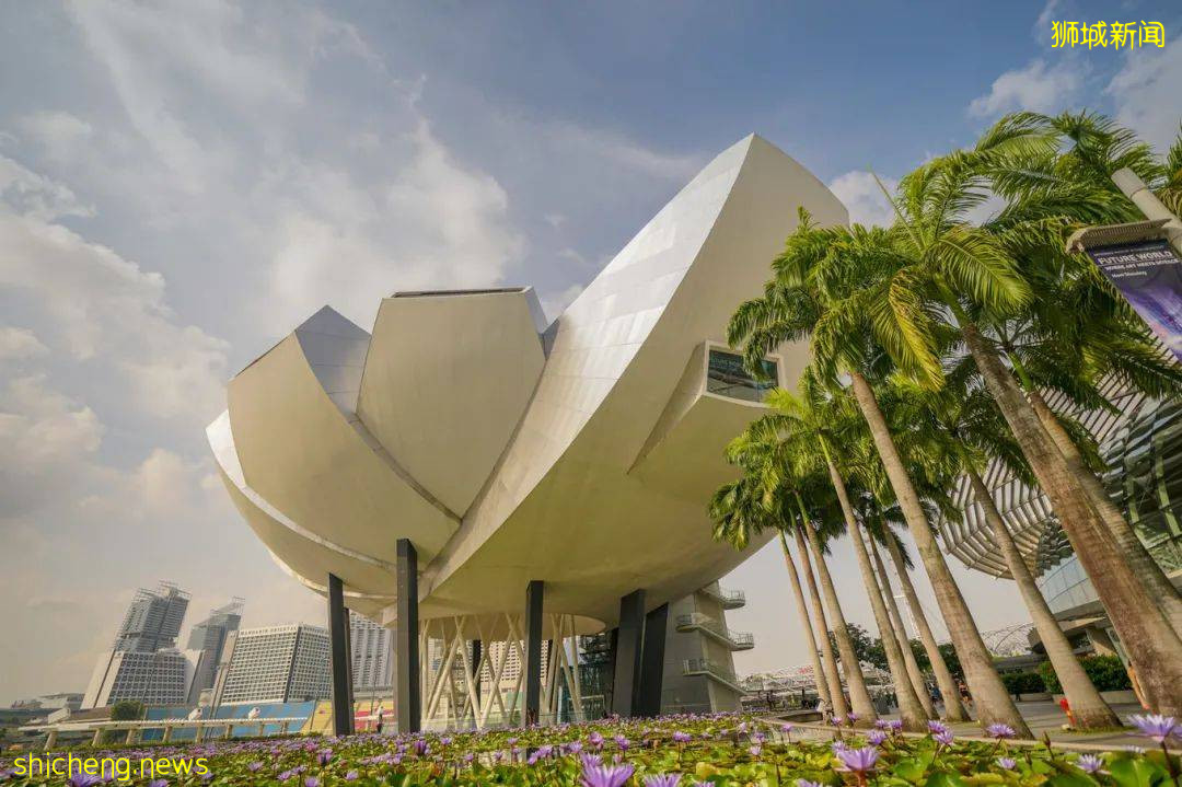 攻略獅城 雲遊博物館,科技與藝術的完美結合