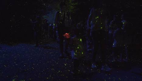 低至S$8！就3天！新加坡動物園“幻光雨林之夜”強勢回歸，亞洲第一夜遊體驗