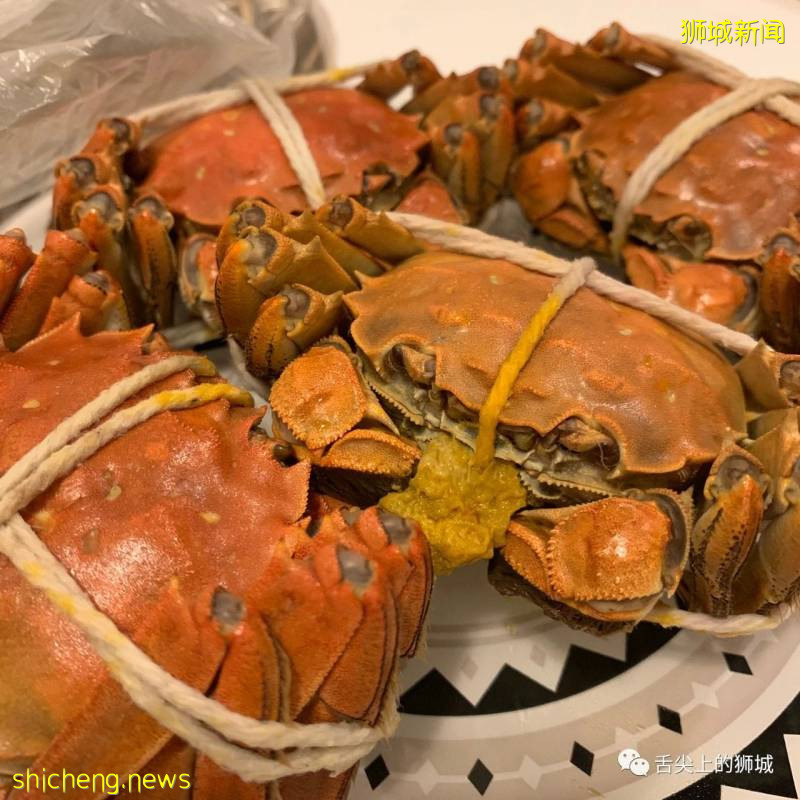 铛铛铛！萬衆期待的蟹中“小鮮肉”，舌尖六月黃大閘蟹登陸獅城啦