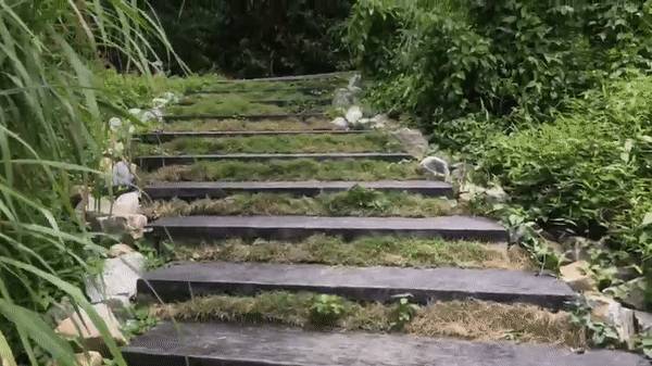 本周最熱打卡地