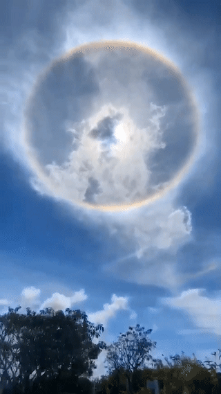 朋友圈刷屏!日晕奇景你们拍到了吗?