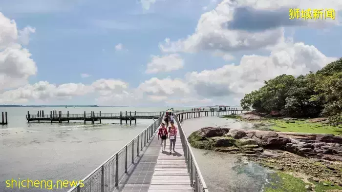 新加坡南部小島被瘟疫“襲擊”,變成了巨大密室