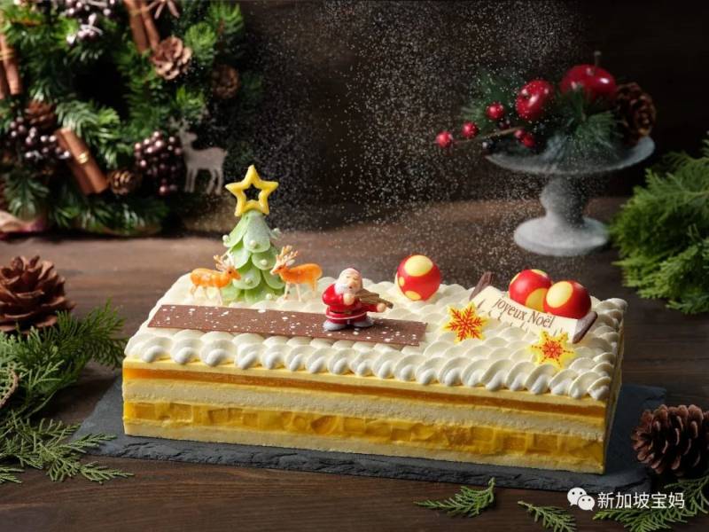 新加坡寶媽們,訂聖誕蛋糕看這篇就夠了