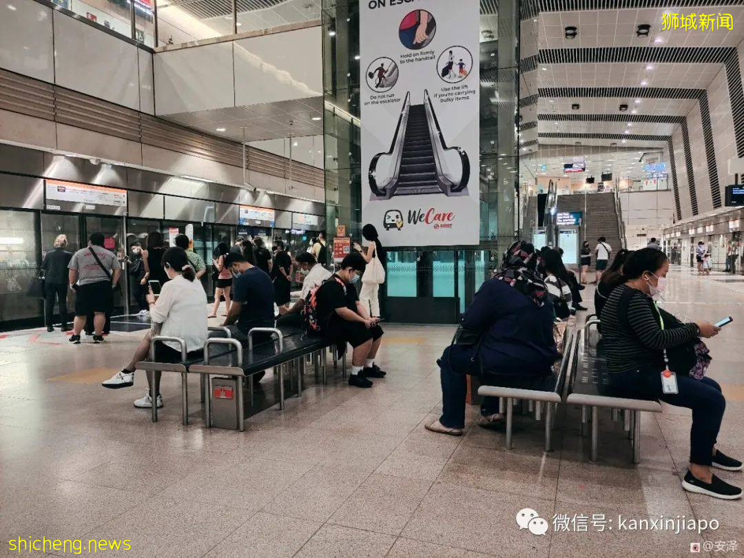 “我以为疫情期间的新加坡是这样的,可实际却是这样的......”