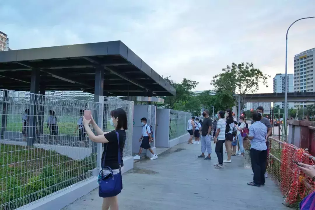 新加坡中小学开学啦!第一天进入新学校的那些珍贵瞬间【多图】
