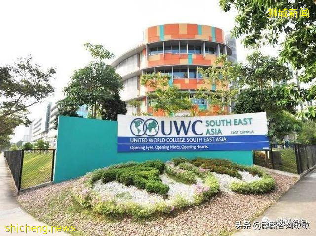 新加坡的國際學校!