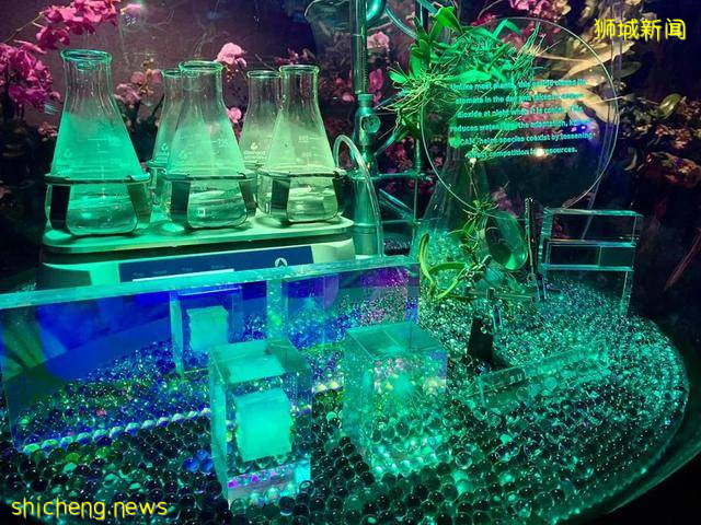 迪拜世博会新加坡展馆：自然之城，展示自然、培育、未来 