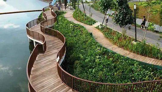 從“新加坡鄉下”到“獅城威尼斯”、“新硅谷”,榜鵝新鎮到底經曆了什麽