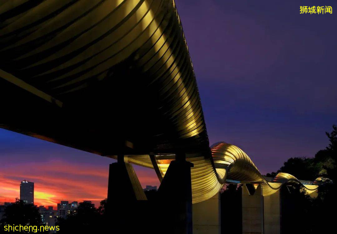 我lllllb了!原来狮城还有这些“奇葩”建筑