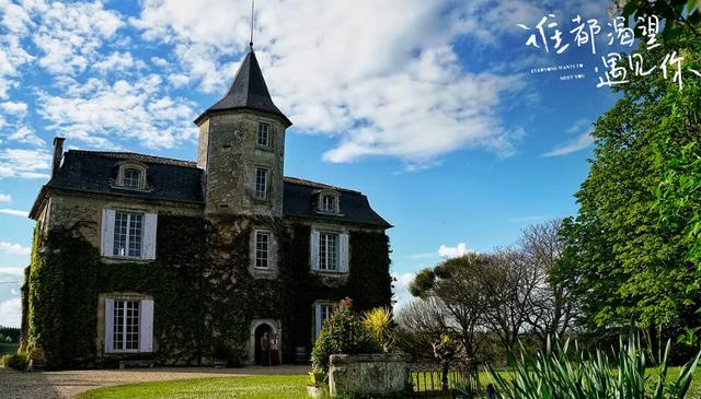 赵薇监制，新加坡一哥李南星复出，陈意涵老公导演，这剧为啥不红