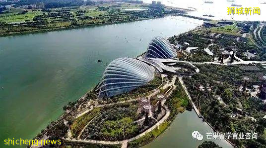 新加坡成立有限公司后续维护至关重要