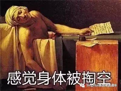 《新加坡高校留学生图鉴》