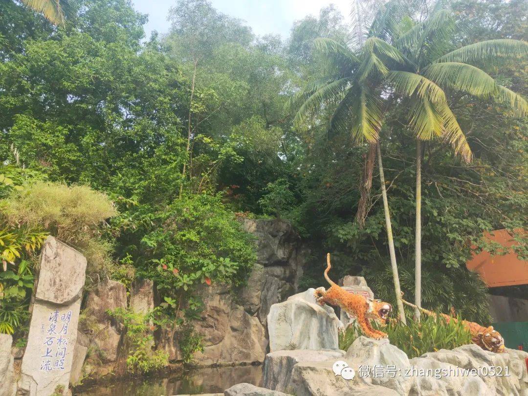 新加坡遊記系列 99%的人都會忽略的有趣景點