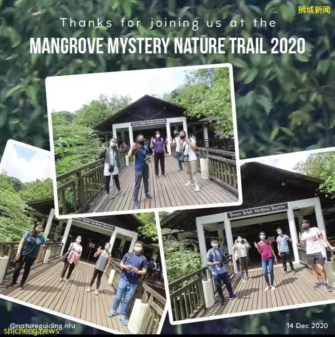 猴哥再见！NTU 已将两只猕猴迁移至校外保护区