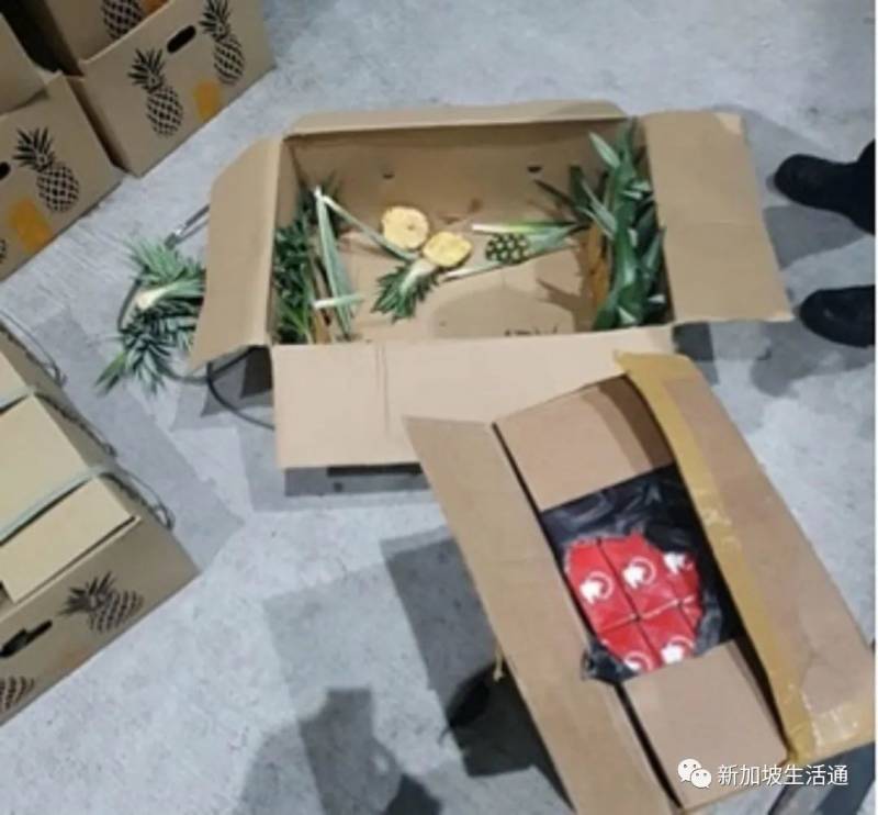 新加坡關卡局搜查2輛大馬貨車,繳獲近71萬新元漏稅香煙