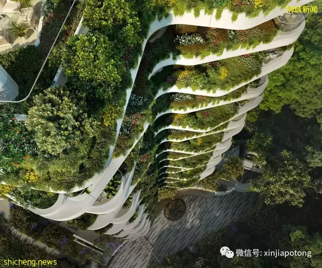 新加坡版凡尔赛,超级豪宅项目 柏皓,高净资产人士选择,稀缺大平层永久地契,花园和建筑融为一体