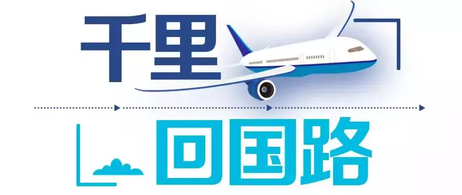 新冠不断变异，应该回国还是留坡