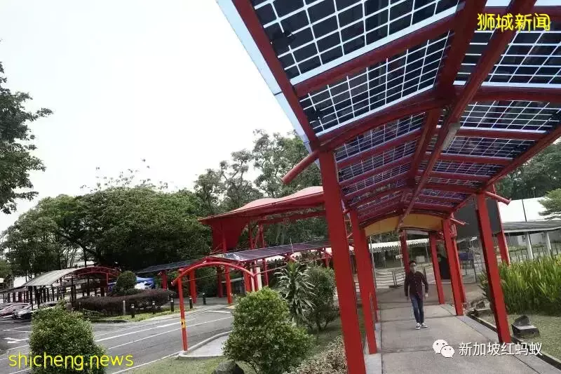 新加坡是全球太阳能密度最高的城市之一 这些位置竟有光伏板