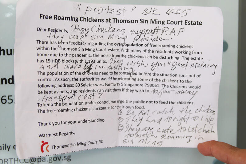 鸡口激增没失控，好好规划莫杀鸡