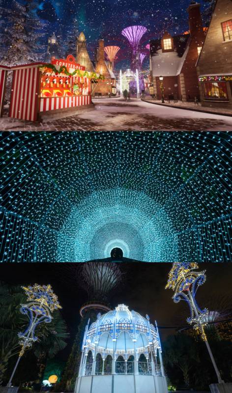 12月新加坡新開網紅店：超人氣日料店、侏羅紀快閃咖啡廳、夢幻北歐冰屋