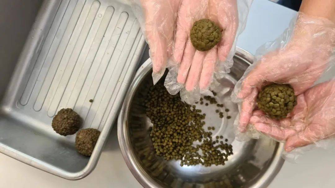 新加坡遛娃新去处!到河川生态园喂海牛,给孩子不一样的staycation