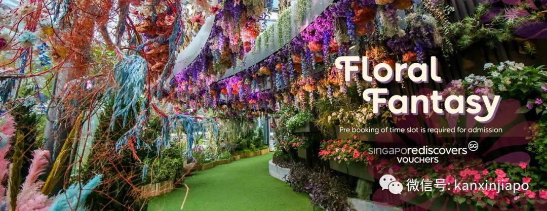 【下周活動】5新幣遊濱海灣花園!老曾記咖喱角免費吃