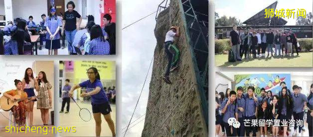 了解新加坡公立/私立/國際學校、理工/藝術/教育模式