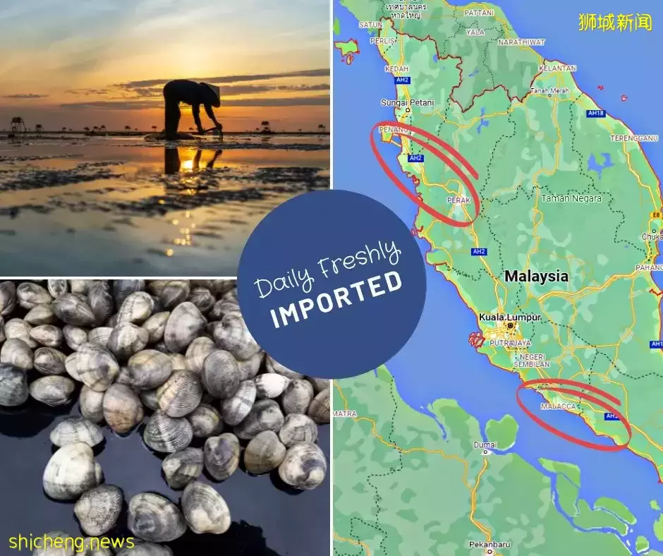 100%新活现捞啦啦米粉!网红店Wawa Lala开到Bugis啦