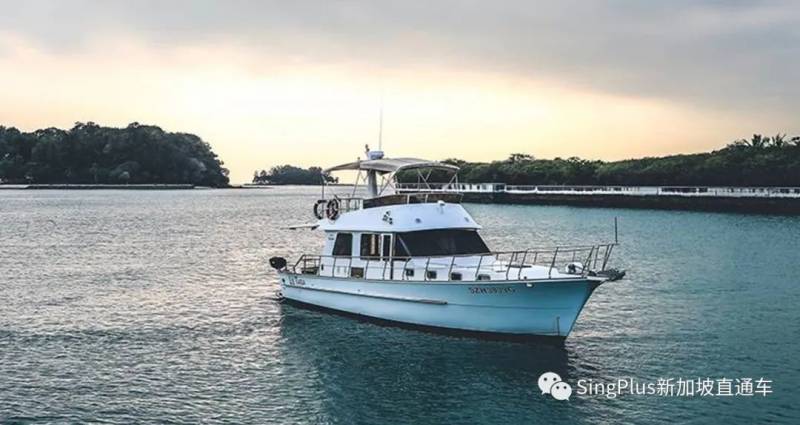 本周折扣 ！戴森5折；聖淘沙坐遊艇50新；面膜買一送一