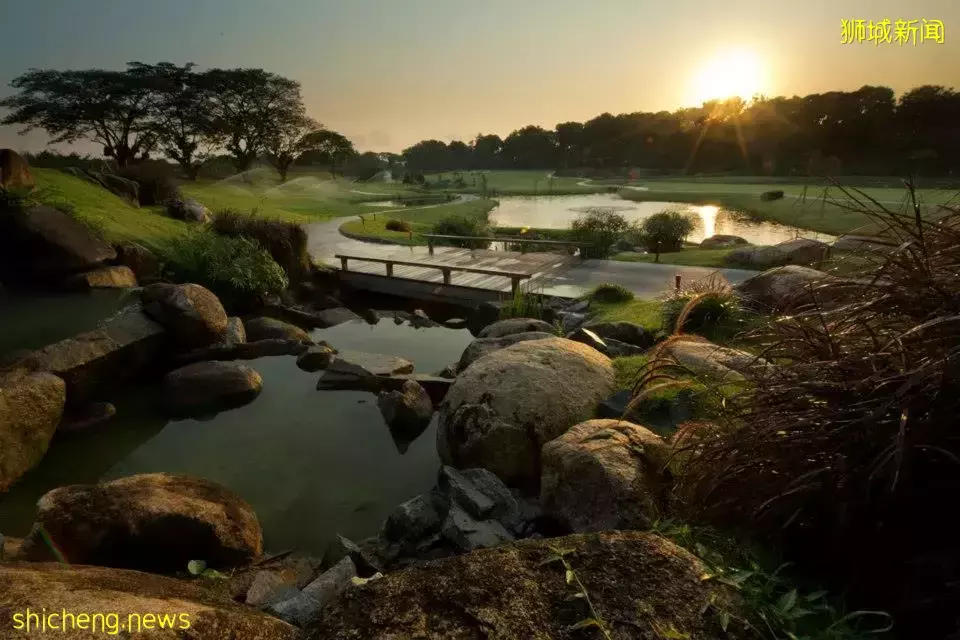 无限Lok Lok自助烧烤之夜!还有现场音乐表演气氛直接拉满