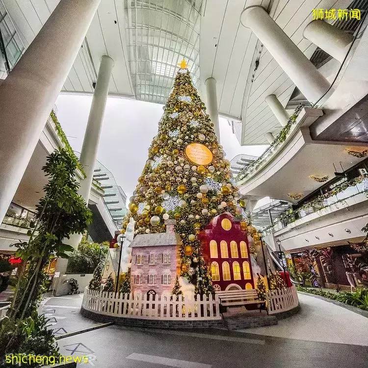 2021新加坡圣诞打卡攻略出炉🎄高颜值圣诞树、梦幻氛围爆表,错过再等一年咯✨