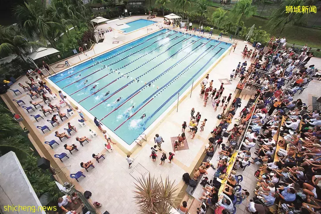 史上最強攻略!在新加坡如何選學校?國際學校vs政府學校,哪個好