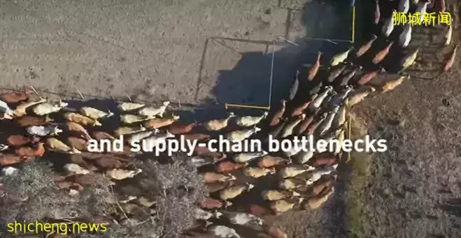 新加坡最新战绩,两个世界榜单名列前茅!“榜一大哥”竟是中国城市