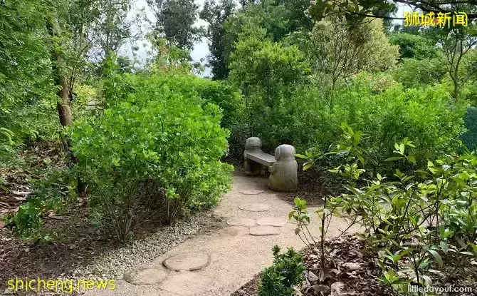 免費！新加坡最適合娃的公園，蝴蝶迷宮、沙灘小灣、瀑布、滑梯秋千
