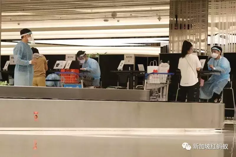 新加坡衛生部長：與未知新敵人奧密克戎博弈，像在下一盤蛇梯棋