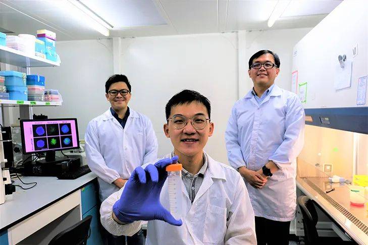 2020,南洋理工大學這一年