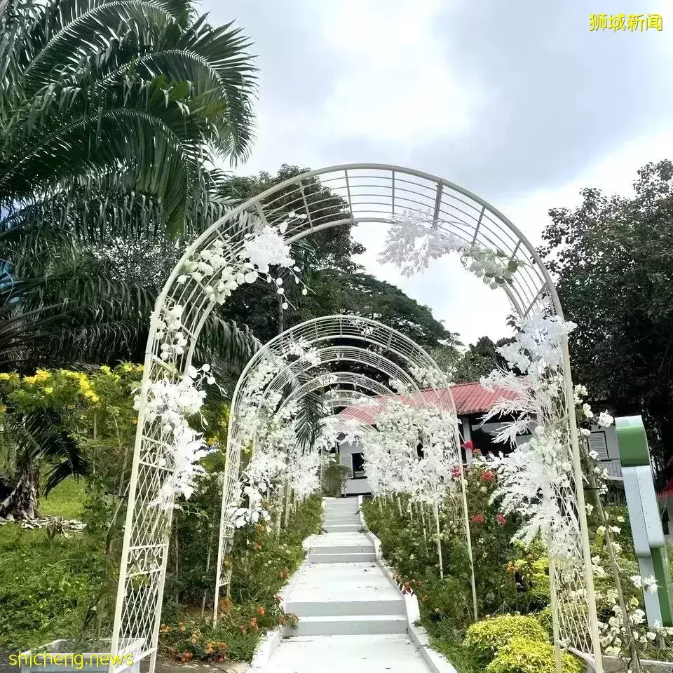 秒出大片!新加坡超火网红打卡景点,一秒穿越到国外