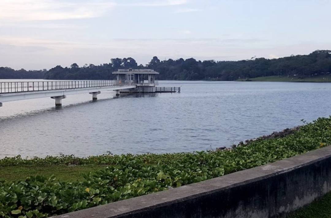 新加坡最美10个蓄水池公园,人少、闺蜜野餐遛娃拍照