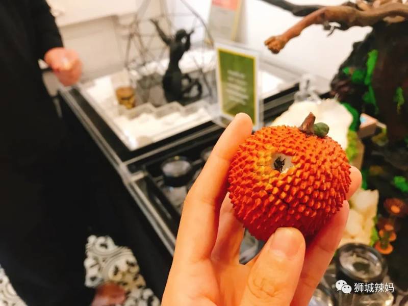 亞洲第一的螞蟻博物館居然在新加坡